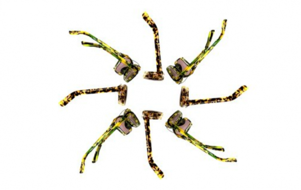 Picture 5 Video: Subcrew Fall 2012 Eyewear Collection