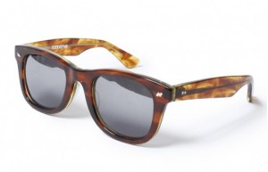 Kaneko Optical for nonnative 2 300x193 Kaneko Optical for nonnative