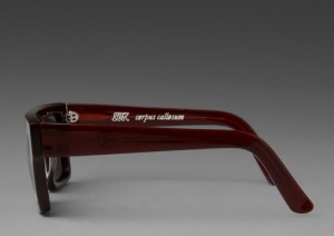 Chronicles of Never Corpus Callosum Sunglasses 3 300x212 Chronicles of Never Corpus Callosum Sunglasses 3