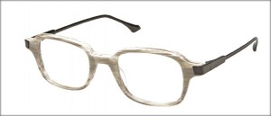 Dita Winston Frame 4 300x129 Dita Winston Frame