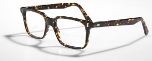 L.G.R. Eyewear 2011 Collection