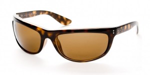 Ray-Ban Balorama Sunglasses in Demi Brown