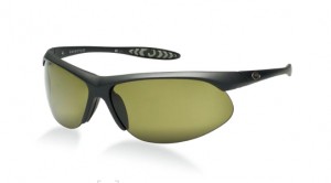 Gargoyles Firewall Sunglasses