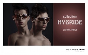 Histoire De Voir Hybride Collection