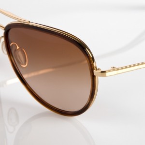 Paul Smith Chadwick Sunglasses 2 300x300 Paul Smith Chadwick Sunglasses 2