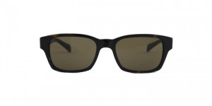 Paul Smith Elvaston Brown Sunglasses