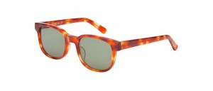 Robert Geller Andreas Sunglasses in Brown