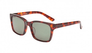 Robert Geller Marcello Sunglasses in Dark Brown