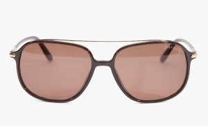 Tom Ford Sophien Sunglasses in Brown