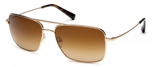 Salt Optics Lester4 300x132 Salt Optics Lester4