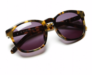 Alexander Wang Tortoise Wayfarer Sunglasses