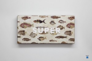SUPER 2012 Visiva poissons 06 300x200 SUPER 2012 Visiva poissons 06