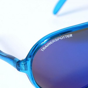 31 01 2011 ts shade blue detail2 300x300 31 01 2011 ts shade blue detail2