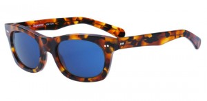 supreme the alton sunglasses 1 300x147 supreme the alton sunglasses 1