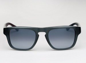 mosley tribes danby tortoise 01 300x220 mosley tribes danby tortoise 01