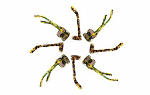 Video: Subcrew Fall 2012 Eyewear Collection